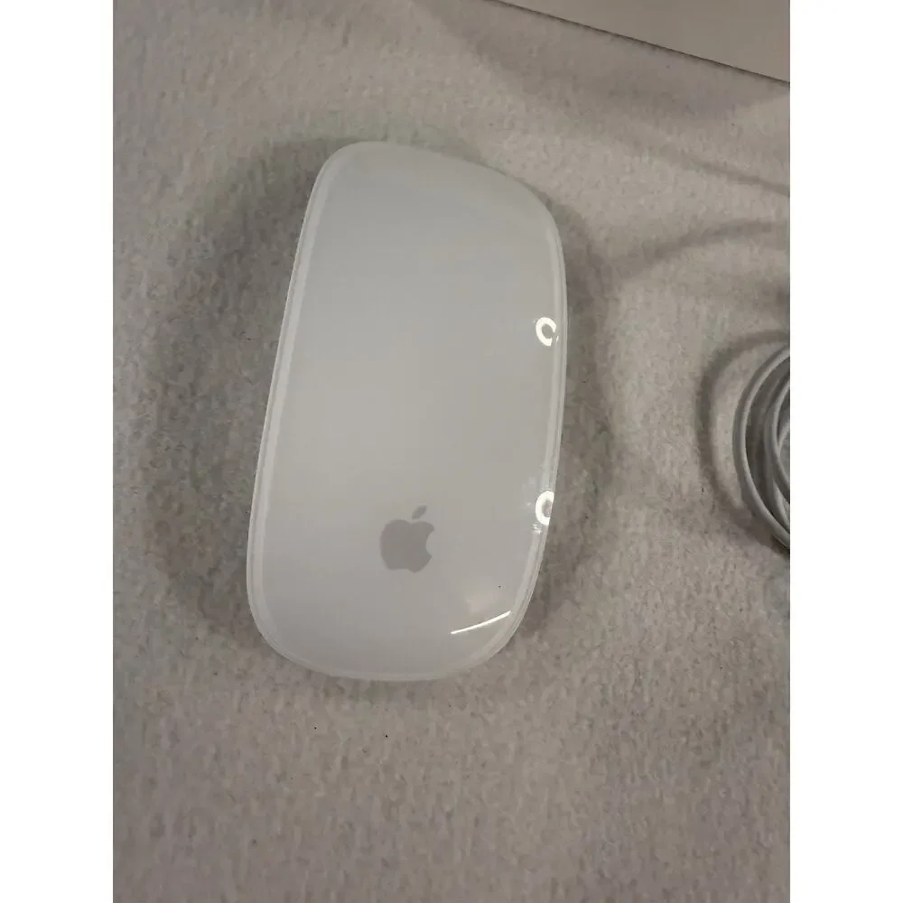Apple magic mouse